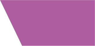 Rectangle-pink-bg.png