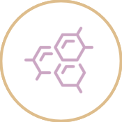 Group 6740.png