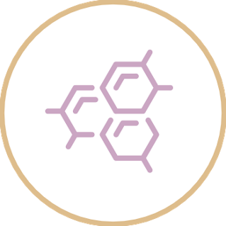 Group 6740@2x.png